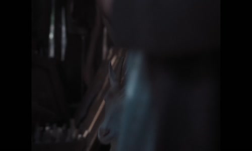 Ema a smrtihlav (2024) [1080p WEB AC3 SK x264] mkv