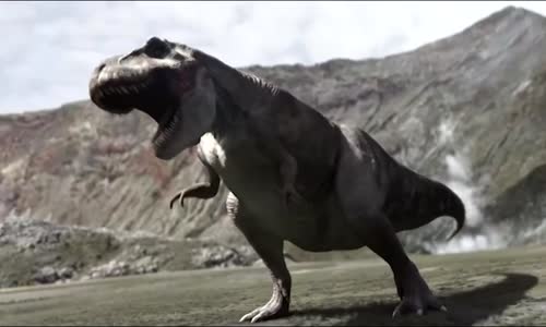 Dinosaur fight - T Rex vs Triceratops mp4