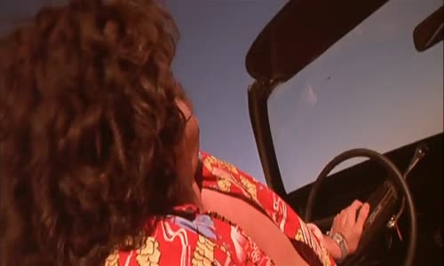 Strach A Hnus V Las Vegas 1998 DVDrip H264 EN SK dub, SK subtitles mkv