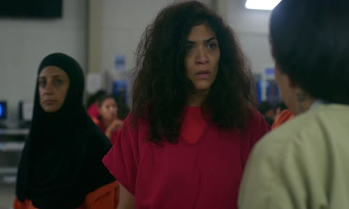 Holky za mřížemi - S07E04 (2019) CZ dab - Jak správně žít mkv