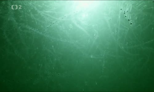 Obrovský mořský had - Bájný mořský had avi