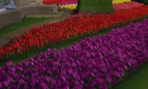 Labutí princezna Královská záhada 2018 mkv