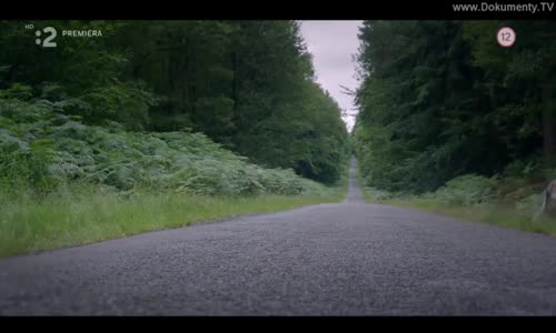 Vlčí putování - Cesta vlka avi