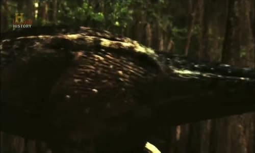 4x10 Mimozemšťané a dinosauři mp4