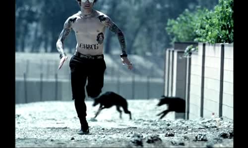 Buckcherry - Check Your Head vob