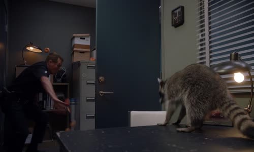 the rookie s07e10 720p web h264-skyfire mkv