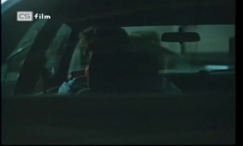 Divoká svině avi