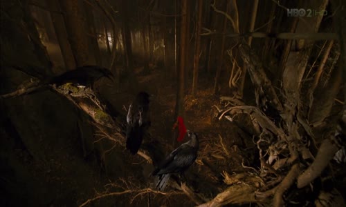 Kletba bratří Grimmů 2005 1080p CZ mkv