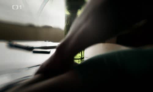 Vraždy v kruhu 09 díl Láska je černý kůň-2015 CZ krimi avi