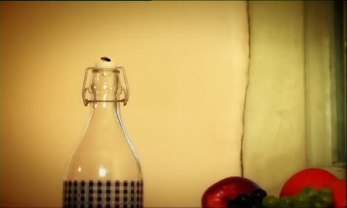 13 - king size camembert mp4