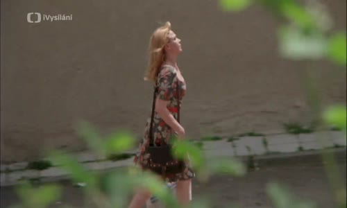 Dedictvi aneb Kurvahosigutntag [1992 Cz] (cz 1080p) mp4