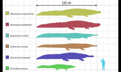 Planeta zázraků - DEINOSUCHUS zabiják dinosaurů - NEJVĚTŠÍ KROKODÝL všech dob mp4