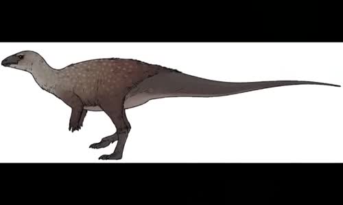Planeta zázraků - Dinosaurus který žil v podzemí a největší pavouk Austrálie mp4