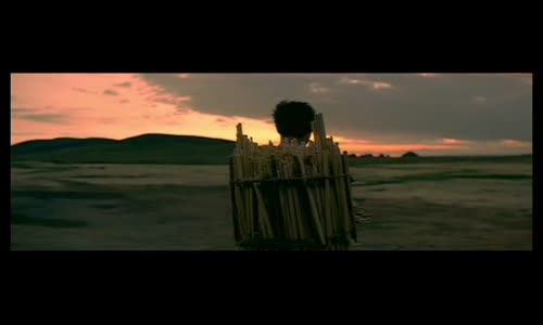 Yeah Yeah Yeahs - Gold Lion (2006) vob