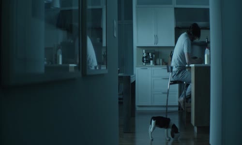 John Wick (2014) Akční, Thriller Cz avi