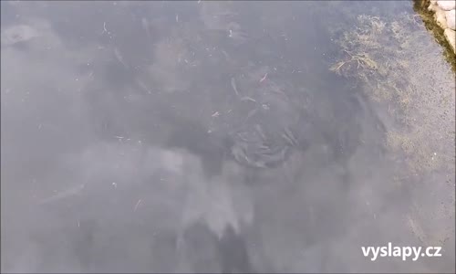 Peniscola – dříve ostrov, dnes poloostrov mp4