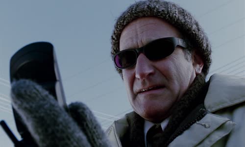 zmrazena pojistka (the big white, 2005) cz mkv