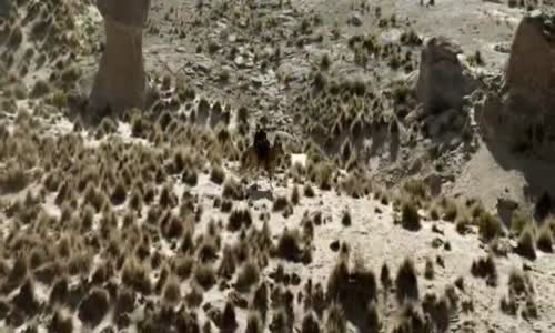 BLACKTHORN 2011 thriller western cz titles avi