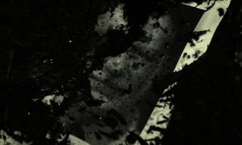 Dark Feed 2013 CZ  2013 avi