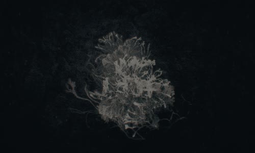 The+Last+of Us+- +[S02E01]+2160p CZ DABING  mkv