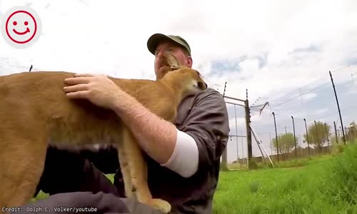 Zvířata, která po letech opět vidí své majitele! Nejemotivnější okamžiky! mp4