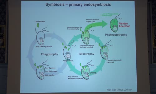 Pokroky v biologii 2022 (4 3) Pavel Škaloud Partnerský život symbiontů výprava (PřF UK 5 3 2022) mp4