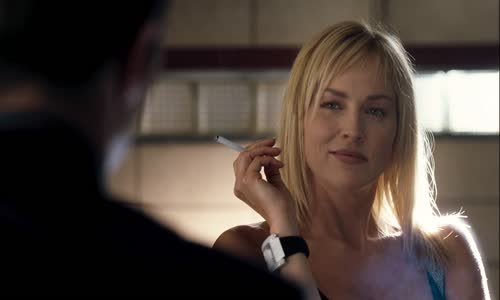 Základní instinkt 2 - Basic instinct 2 (2006) EN+CZ DABING 1080p mkv