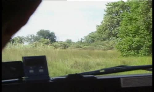 Svět zvířat - 2 Divoká Afrika avi