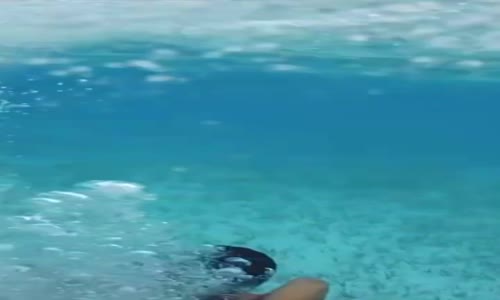 Fyre Festival aneb Nejhorší festival všech dob mp4