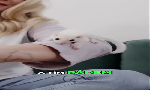 Žena u sebe doma chová vakoveverky mp4