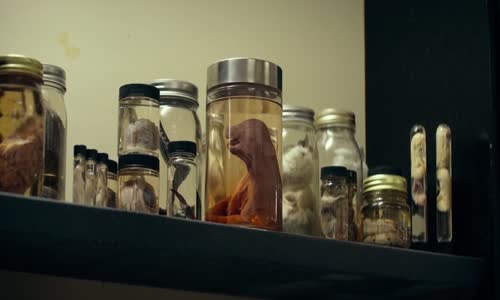 My Friend Dahmer (2017) mkv