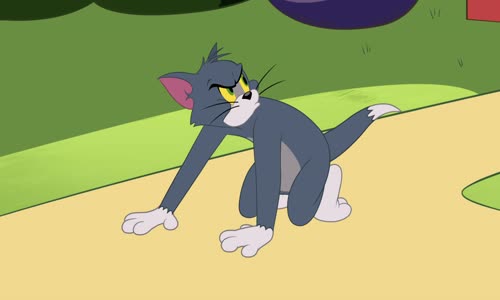 Show Toma a Jerryho - S03E45 CZ dab 1080p - The Beast from the Bayou mkv
