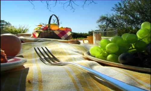 03 - picnic mp4