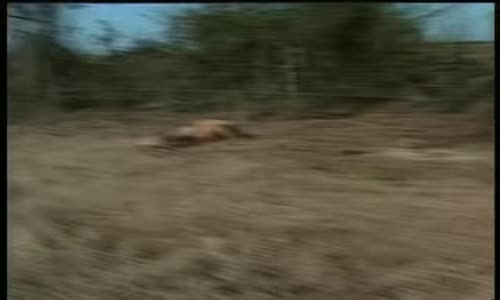 UFO - Nejlepší důkazy - Divná setkání avi