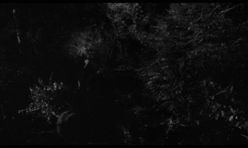 Noc husí kůže - (1986) Sci-fi-horor USA CZ dab 2160p mkv