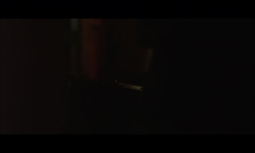 Napola - Hitlerova elita (2004) DE+CZ DABING 1080p mkv
