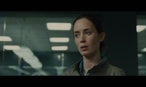 Sicario - Nájemný vrah_FHD HEVC mkv