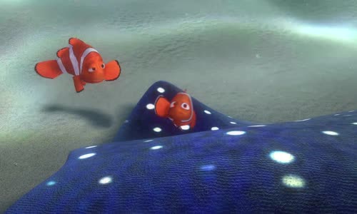 Hledá se Nemo_FHD mkv