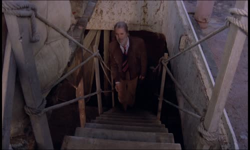 Miliónový brouk (1980) CZ Dabing(Bud Spencer, Terence Hill) mkv