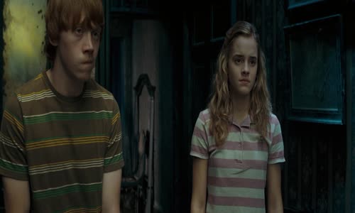5 Harry Potter A Fenixuv Rad 2007 CZ mkv