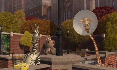Madagaskar 2 Utek do Afriky Madagascar 2 Escape to Africa WEB-DL SK wrweedw mkv