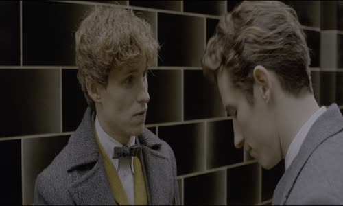 Fantastická zvířata 2 Grindelwaldovy zločiny (2018) UHDRDV cz en mkv