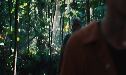 Predator 3 avi
