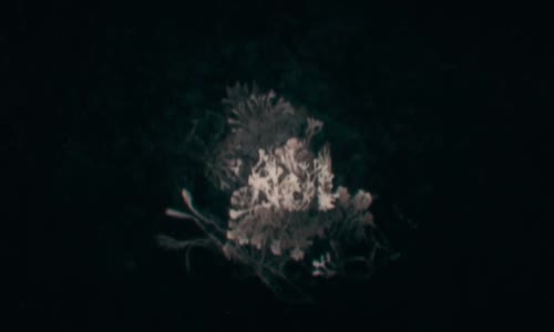 The Last of Us S02E01 (2025) 1080p x264 CZ dab -serial mkv