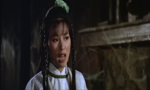 Kung Fu MKV-The Brave Archer And His Mate [1982] x264 DVDrip(ShawBros KungFu) mkv