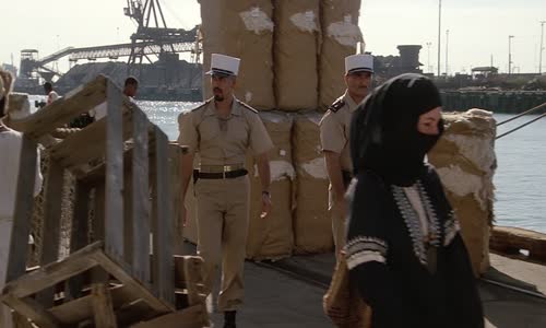 Lionheart ( lvi srdce ) 1990 1080p x265 2xCZ-EN mkv