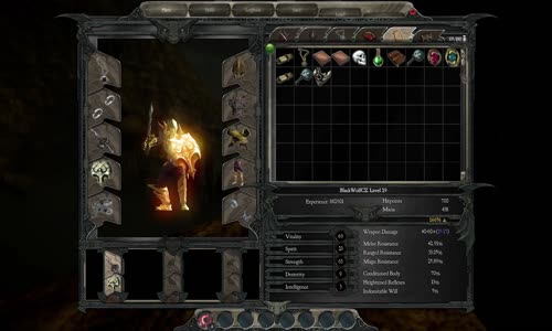 Divinity 2 – Director Cut Gameplay – Story Part 48 avi