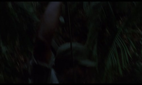 Predátor 1987 CZ dab mkv